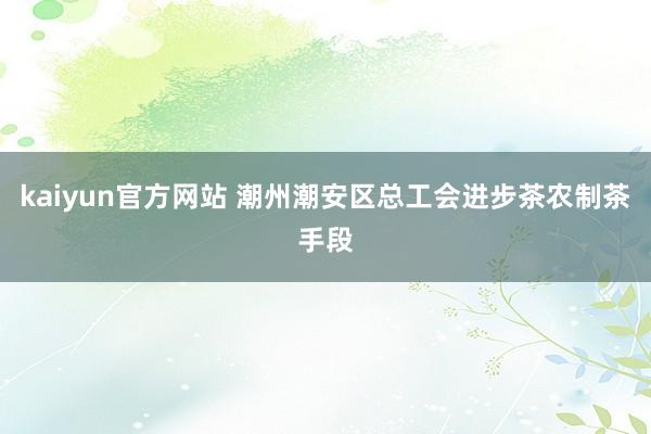 kaiyun官方网站 潮州潮安区总工会进步茶农制茶手段