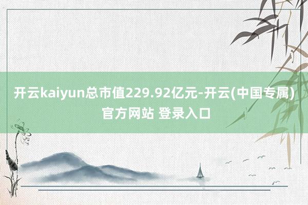 开云kaiyun总市值229.92亿元-开云(中国专属) 官方网站 登录入口