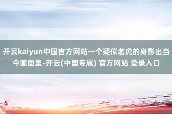 开云kaiyun中国官方网站一个疑似老虎的身影出当今画面里-开云(中国专属) 官方网站 登录入口